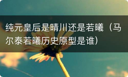 纯元皇后是晴川还是若曦（马尔泰若曦历史原型是谁）