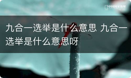 九合一选举是什么意思 九合一选举是什么意思呀