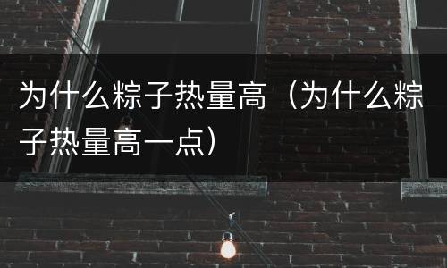为什么粽子热量高（为什么粽子热量高一点）