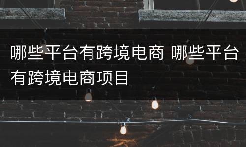 哪些平台有跨境电商 哪些平台有跨境电商项目