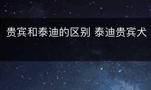 贵宾和泰迪的区别 泰迪贵宾犬