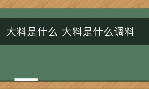 大料是什么 大料是什么调料