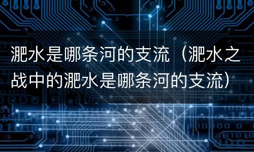 淝水是哪条河的支流（淝水之战中的淝水是哪条河的支流）
