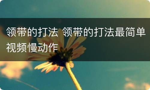 领带的打法 领带的打法最简单视频慢动作