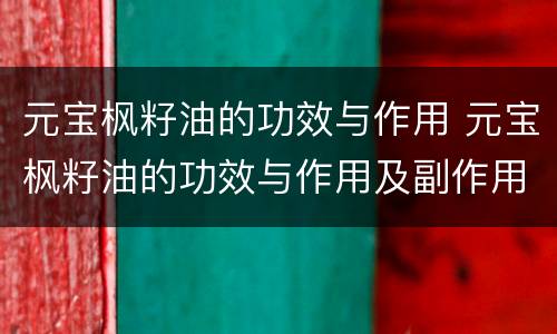 元宝枫籽油的功效与作用 元宝枫籽油的功效与作用及副作用