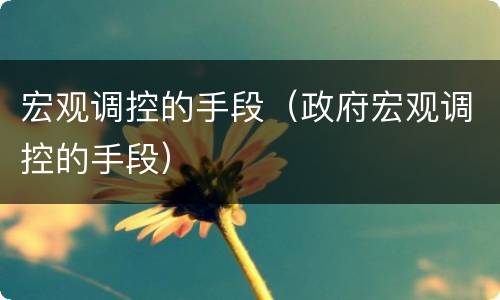 宏观调控的手段（政府宏观调控的手段）