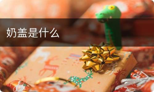 奶盖是什么