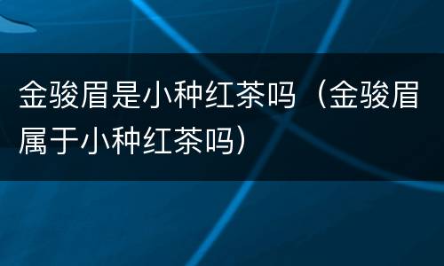 金骏眉是小种红茶吗（金骏眉属于小种红茶吗）