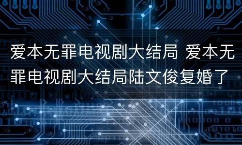 爱本无罪电视剧大结局 爱本无罪电视剧大结局陆文俊复婚了吗