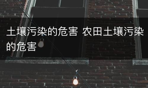 土壤污染的危害 农田土壤污染的危害