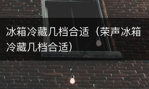 冰箱冷藏几档合适（荣声冰箱冷藏几档合适）