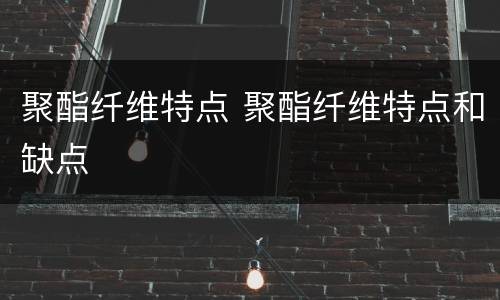 聚酯纤维特点 聚酯纤维特点和缺点