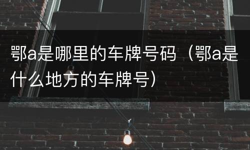 鄂a是哪里的车牌号码（鄂a是什么地方的车牌号）