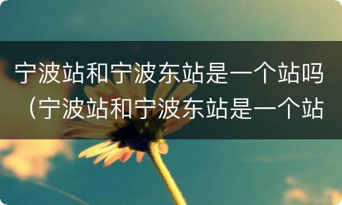 宁波站和宁波东站是一个站吗（宁波站和宁波东站是一个站吗还是站台）
