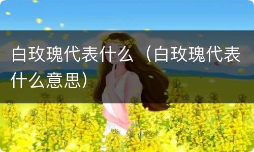 白玫瑰代表什么（白玫瑰代表什么意思）