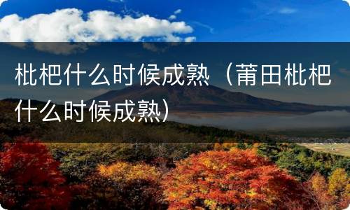 枇杷什么时候成熟（莆田枇杷什么时候成熟）