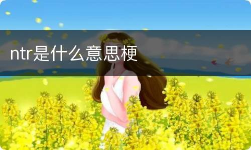 ntr是什么意思梗