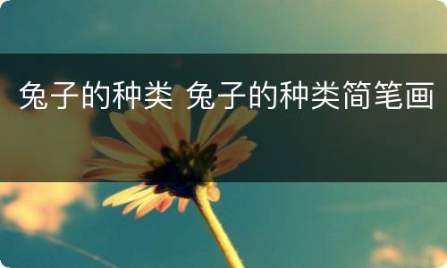 兔子的种类 兔子的种类简笔画