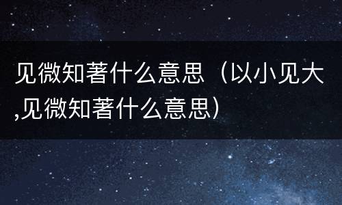 见微知著什么意思（以小见大,见微知著什么意思）