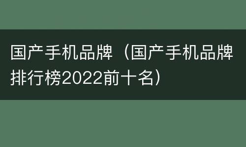 国产手机品牌（国产手机品牌排行榜2022前十名）