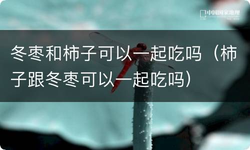冬枣和柿子可以一起吃吗（柿子跟冬枣可以一起吃吗）