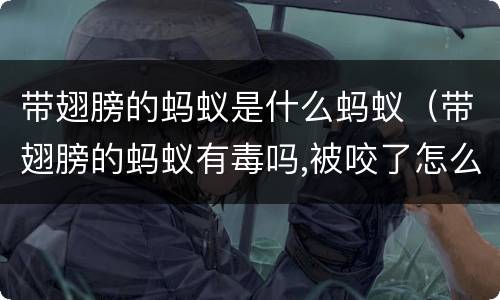 带翅膀的蚂蚁是什么蚂蚁（带翅膀的蚂蚁有毒吗,被咬了怎么办）