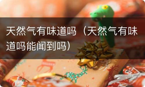 天然气有味道吗（天然气有味道吗能闻到吗）