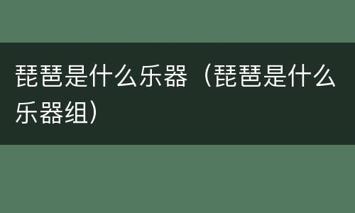 琵琶是什么乐器（琵琶是什么乐器组）