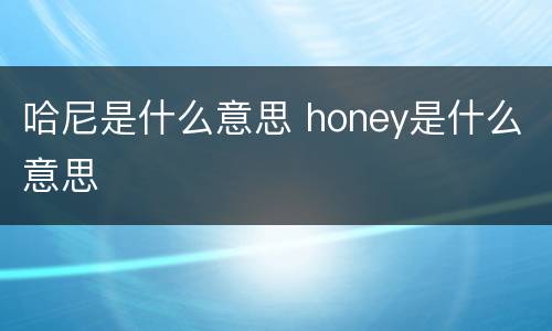 哈尼是什么意思 honey是什么意思