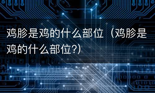 鸡胗是鸡的什么部位（鸡胗是鸡的什么部位?）