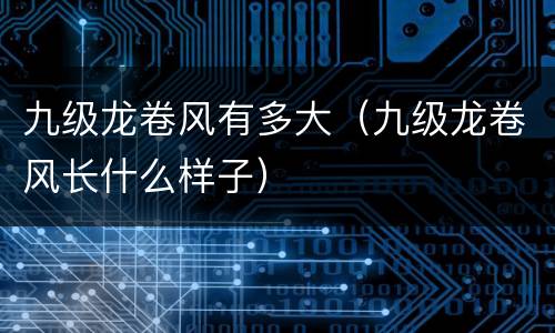 九级龙卷风有多大（九级龙卷风长什么样子）