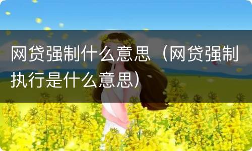网贷强制什么意思（网贷强制执行是什么意思）