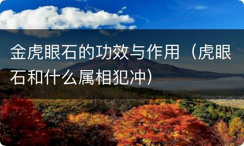金虎眼石的功效与作用（虎眼石和什么属相犯冲）