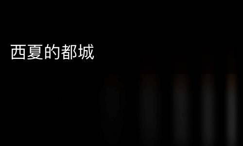 西夏的都城