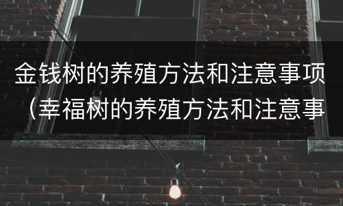 金钱树的养殖方法和注意事项（幸福树的养殖方法和注意事项）
