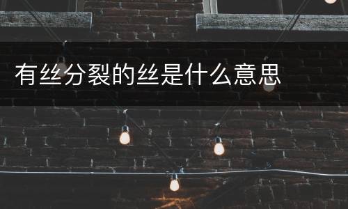 有丝分裂的丝是什么意思