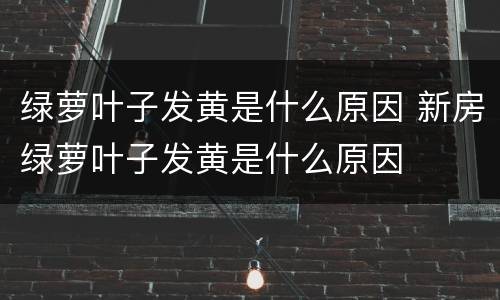 绿萝叶子发黄是什么原因 新房绿萝叶子发黄是什么原因