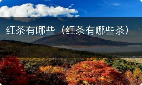 红茶有哪些（红茶有哪些茶）