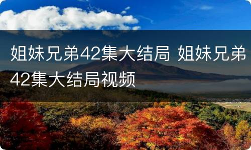 姐妹兄弟42集大结局 姐妹兄弟42集大结局视频