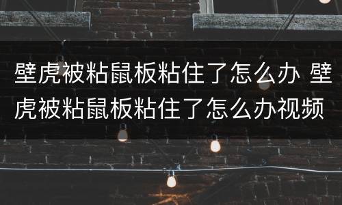 壁虎被粘鼠板粘住了怎么办 壁虎被粘鼠板粘住了怎么办视频