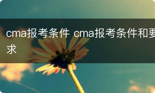 cma报考条件 cma报考条件和要求