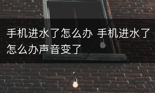 手机进水了怎么办 手机进水了怎么办声音变了