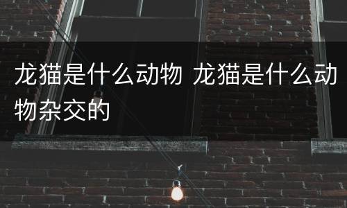 龙猫是什么动物 龙猫是什么动物杂交的