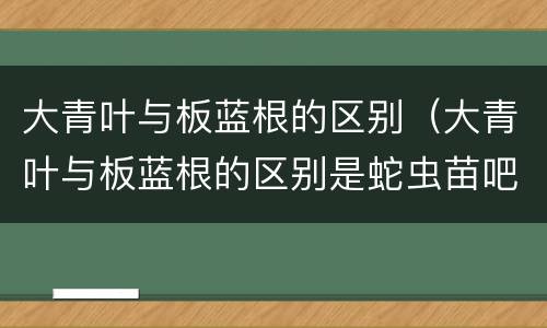 大青叶与板蓝根的区别（大青叶与板蓝根的区别是蛇虫苗吧）