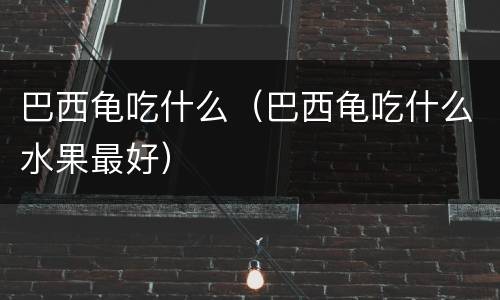 巴西龟吃什么（巴西龟吃什么水果最好）