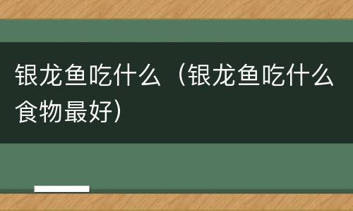 银龙鱼吃什么（银龙鱼吃什么食物最好）