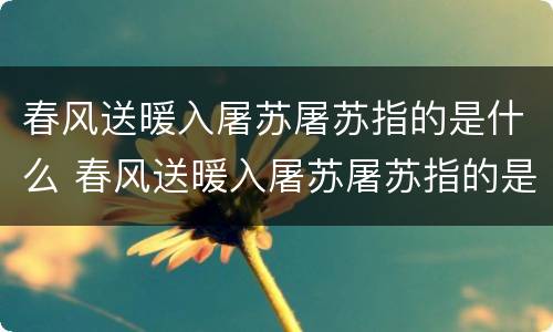 春风送暖入屠苏屠苏指的是什么 春风送暖入屠苏屠苏指的是什么饮品