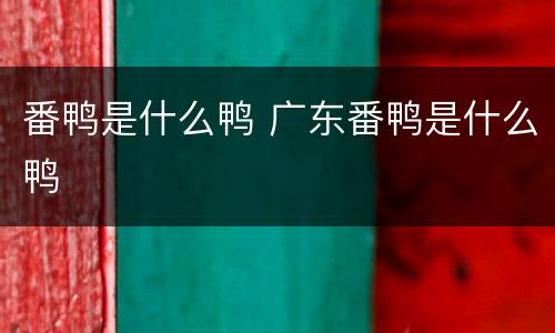 番鸭是什么鸭 广东番鸭是什么鸭