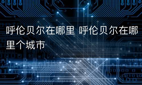 呼伦贝尔在哪里 呼伦贝尔在哪里个城市