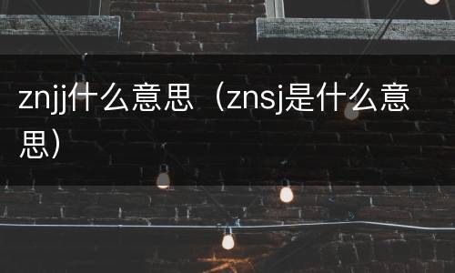 znjj什么意思（znsj是什么意思）